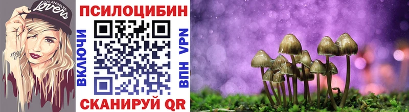 даркнет сайт  МЕГА ССЫЛКА  Галлюциногенные грибы Psilocybine cubensis  Суровикино 